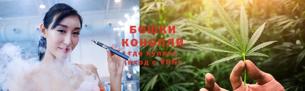 твердый Снежногорск