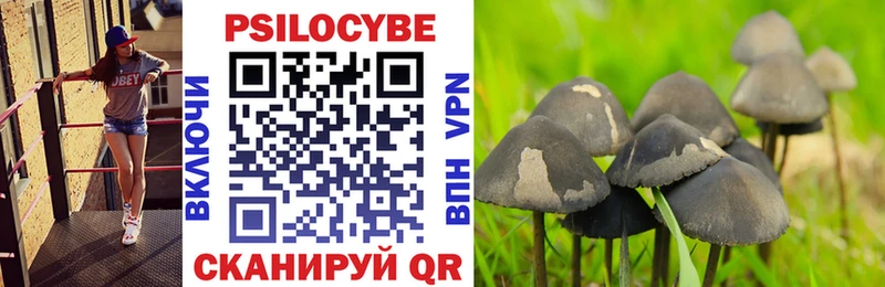 Псилоцибиновые грибы Psilocybe  закладки  Лесозаводск 